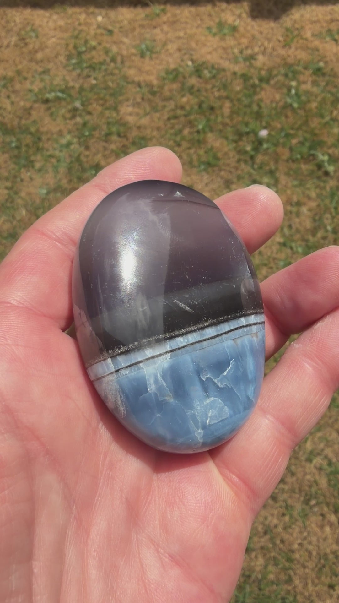 Owyhee Blue opal Palmstone 103 grams BOP02
