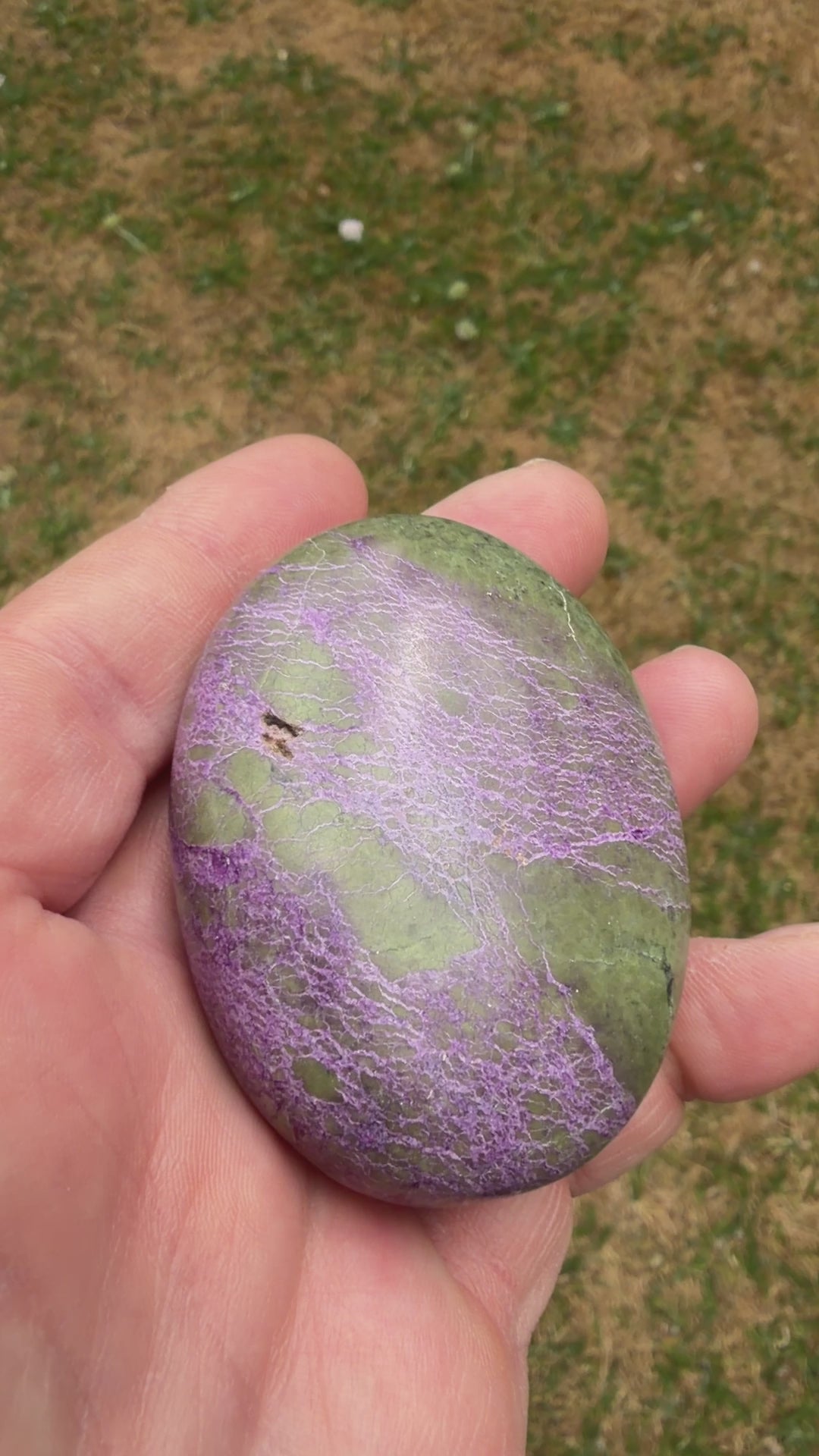 Atlantisite Stichtite Palmstone 98 grams AP02