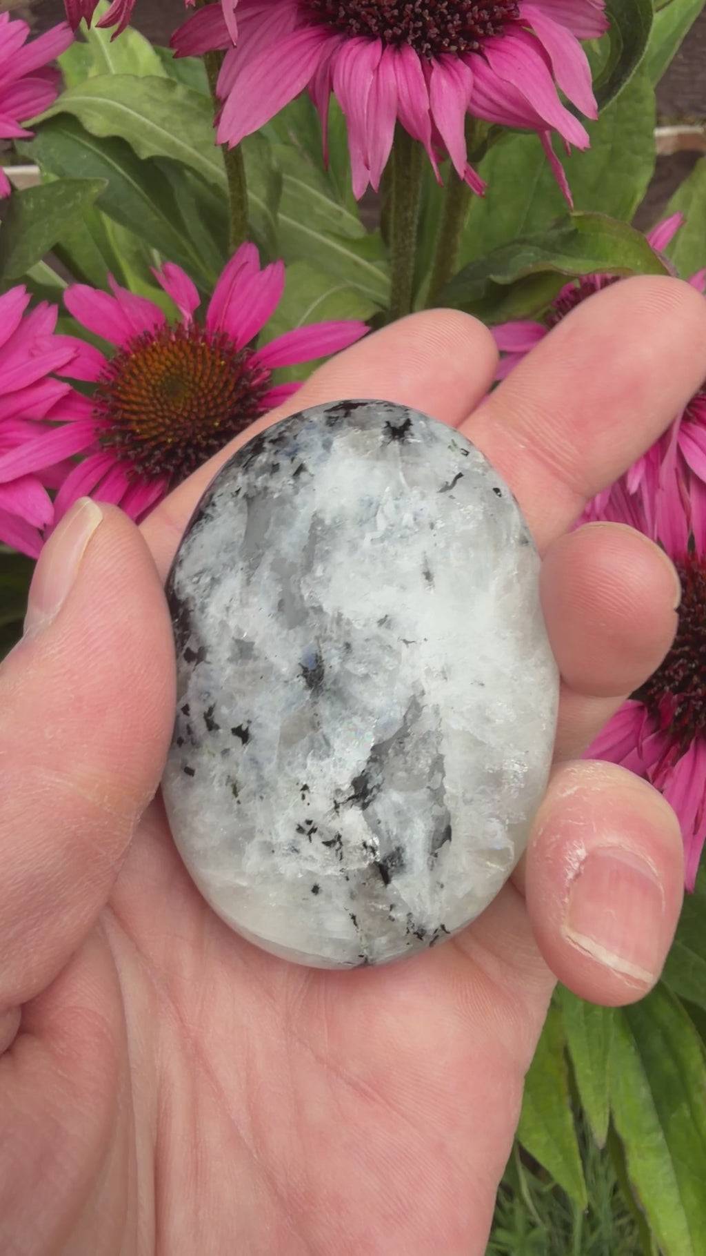 Rainbow Moonstone Palmstone 104 grams RMP03