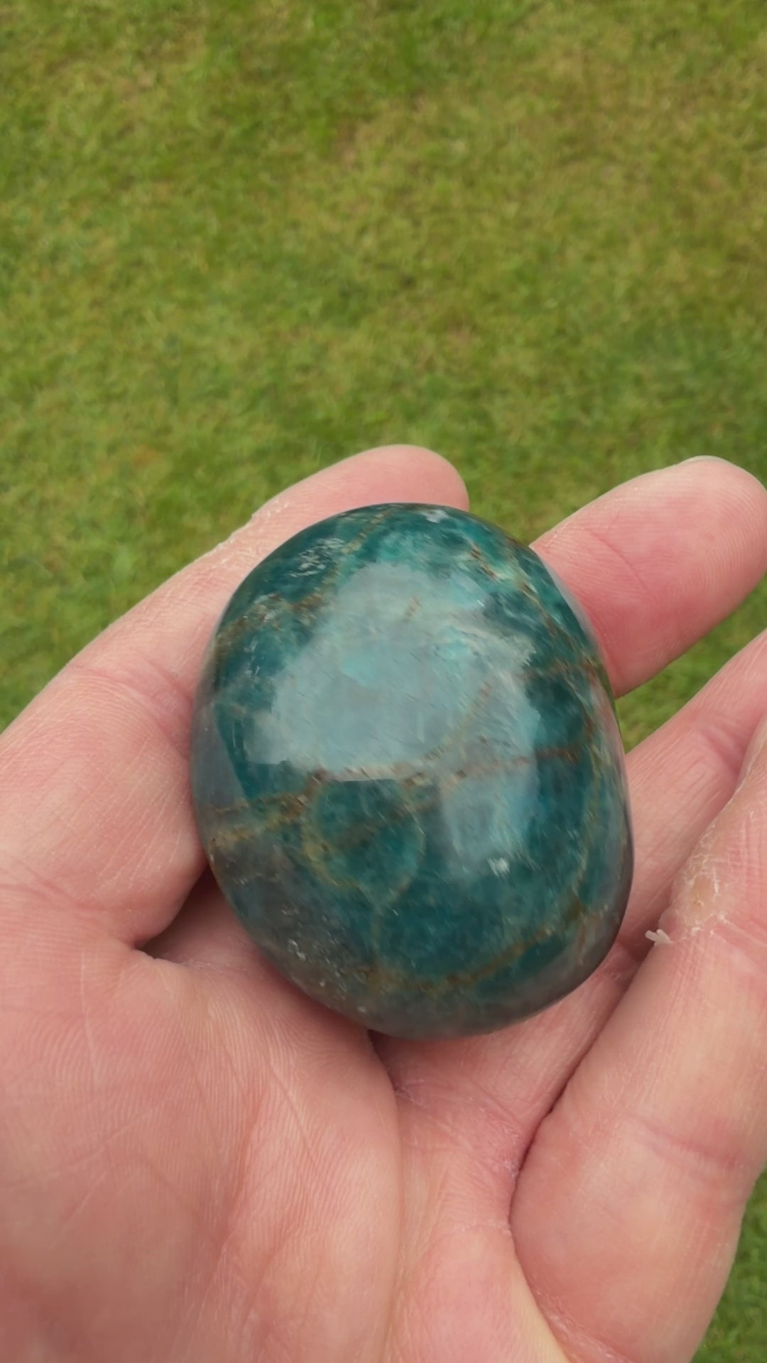Blue Apatite Palmstone 80 grams NBAP10