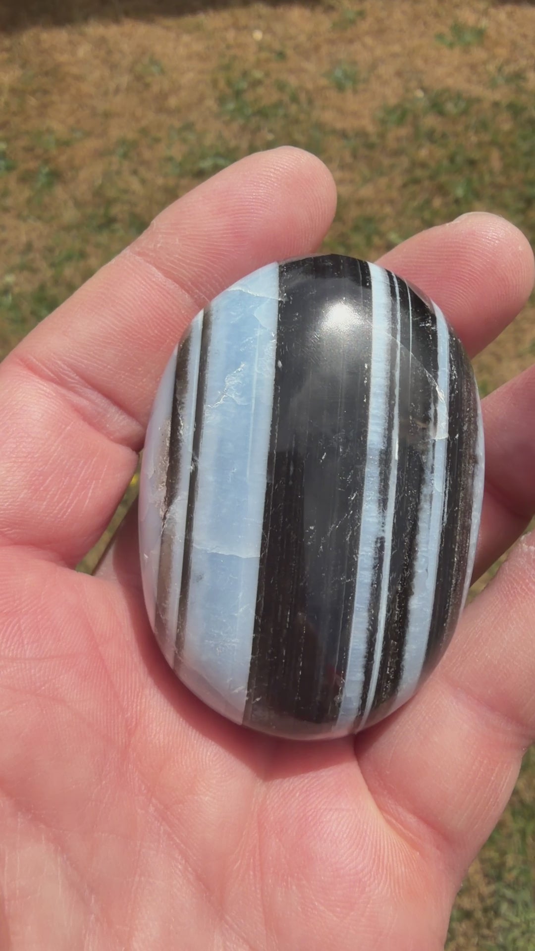 Owyhee Blue Opal Palmstone 83 grams BOP04