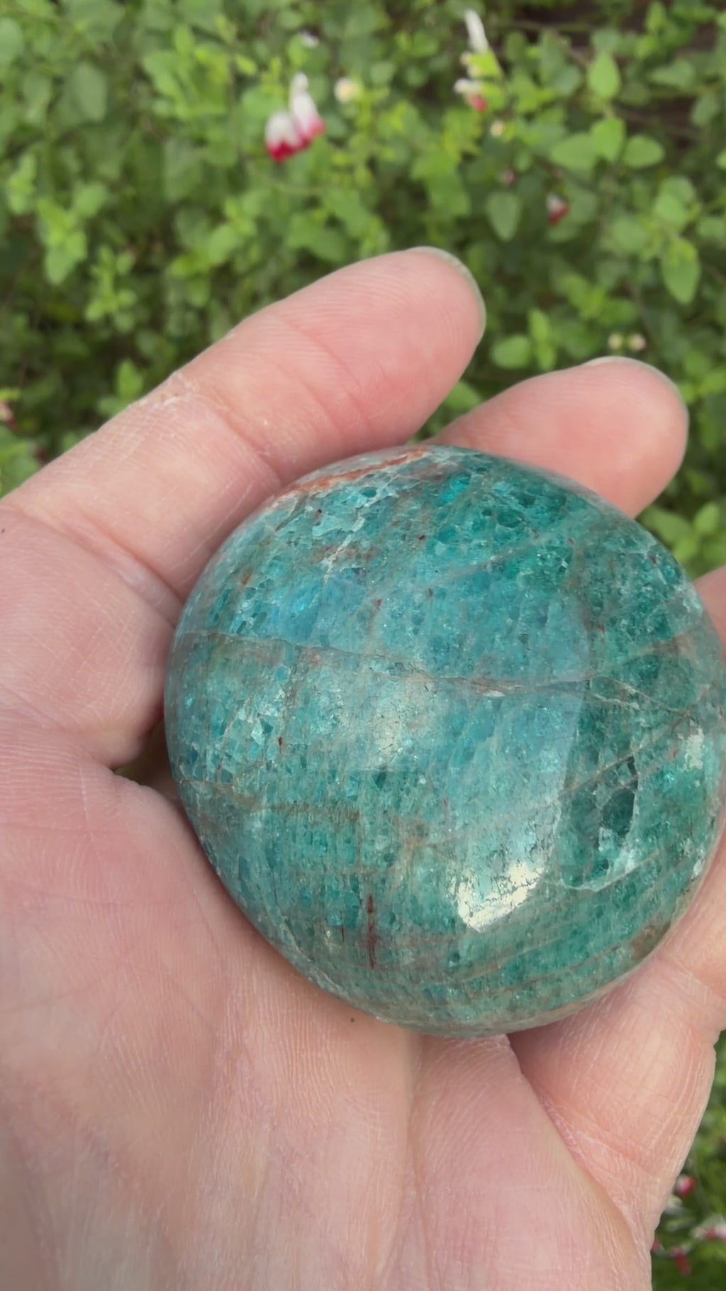 Blue Apatite Palmstone 125 grams NBAP03
