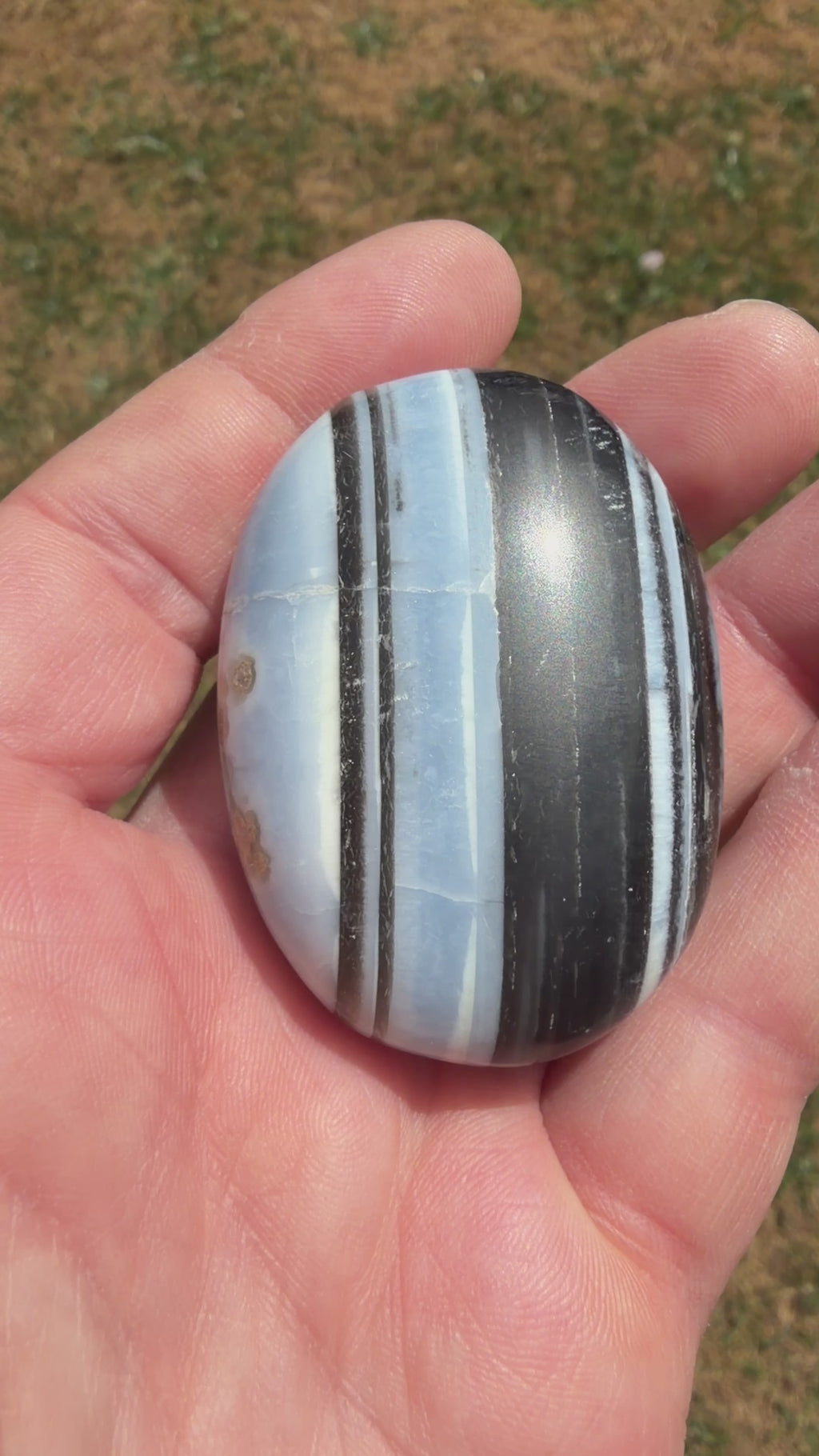 Owyhee Blue Opal Palmstone 63 grams BOP06