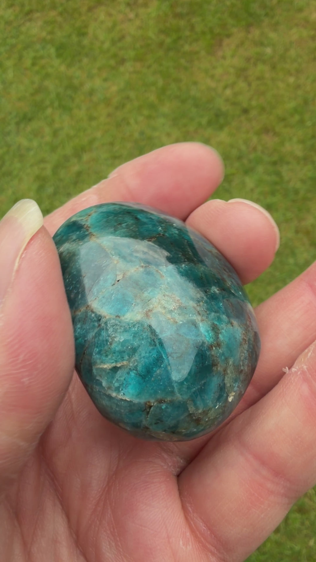 Blue Apatite Palmstone 78 grams NBAP11