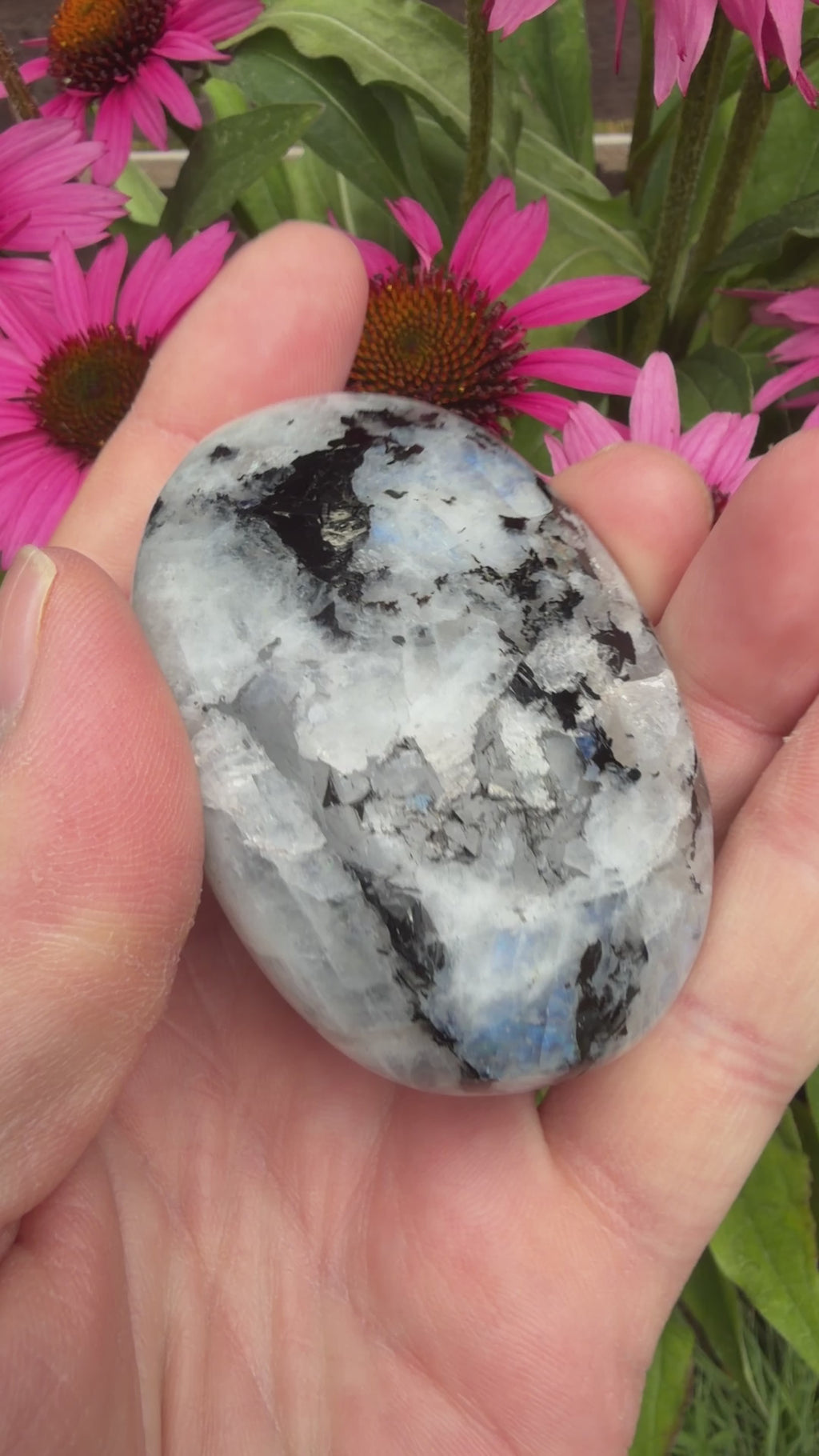 Rainbow Moonstone Palmstone 116 grams RMP05
