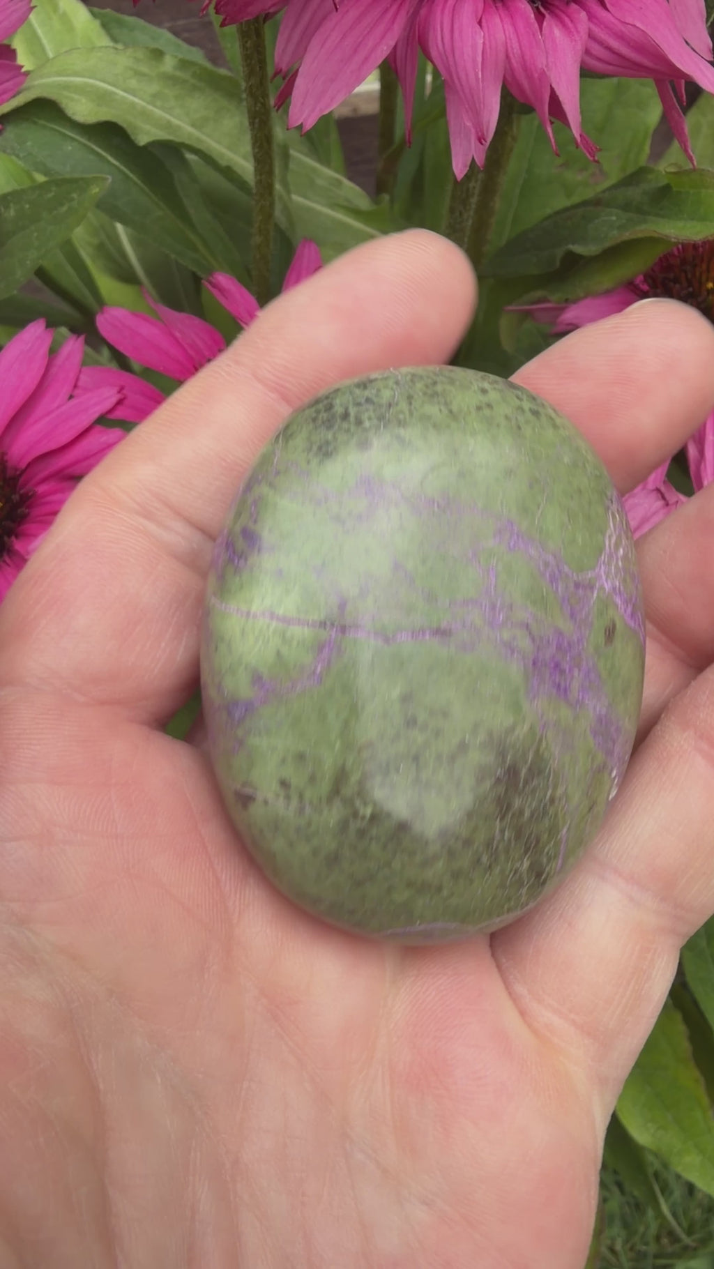 Atlantisite Stichtite Palmstone 89 grams AP09