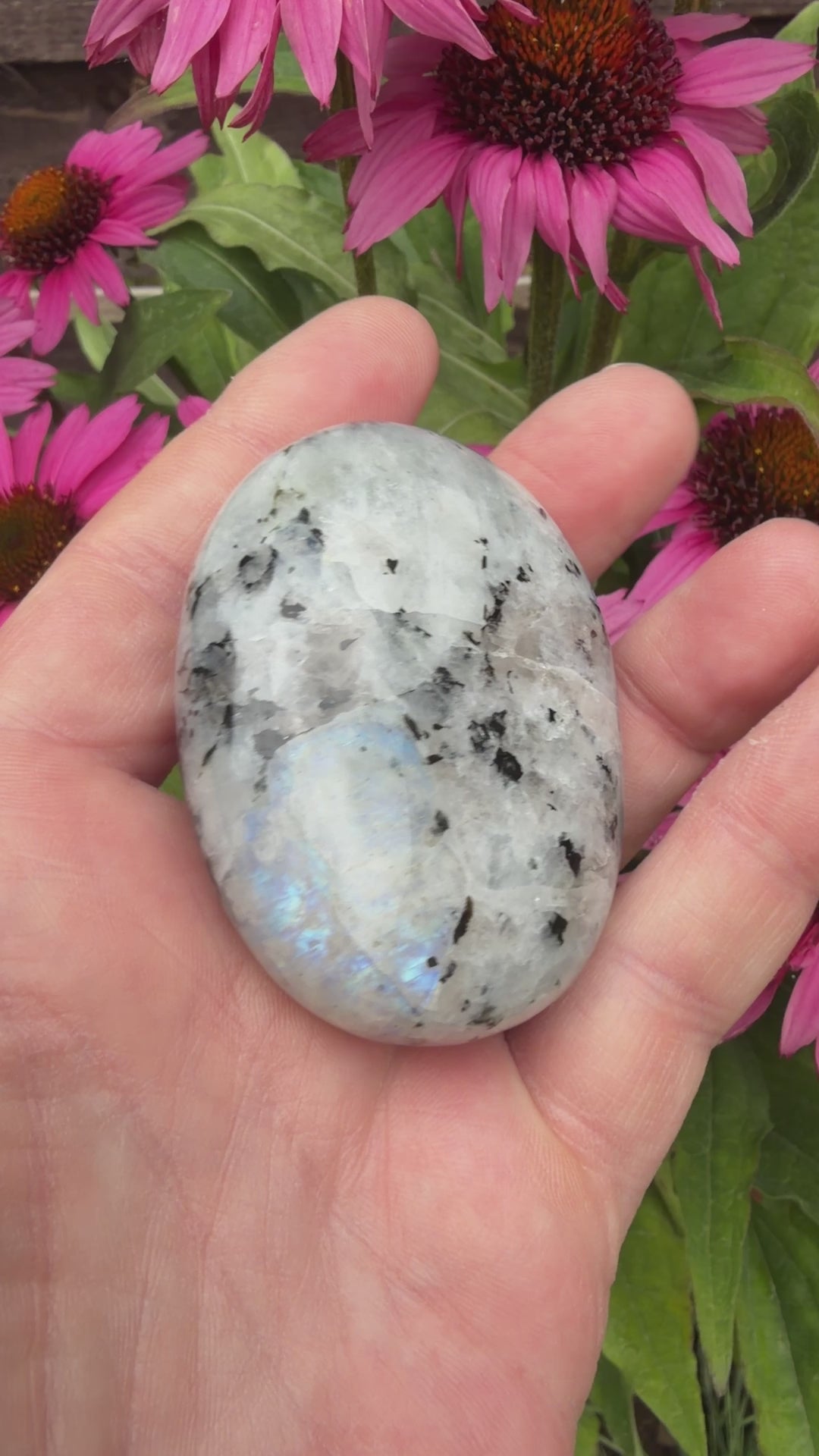 Rainbow Moonstone Palmstone 118 grams RMP09