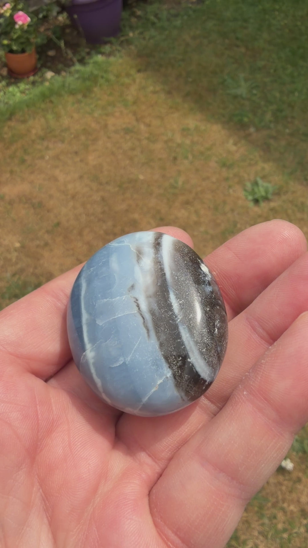 Owyhee Blue Opal Palmstone 50 grams BOP14