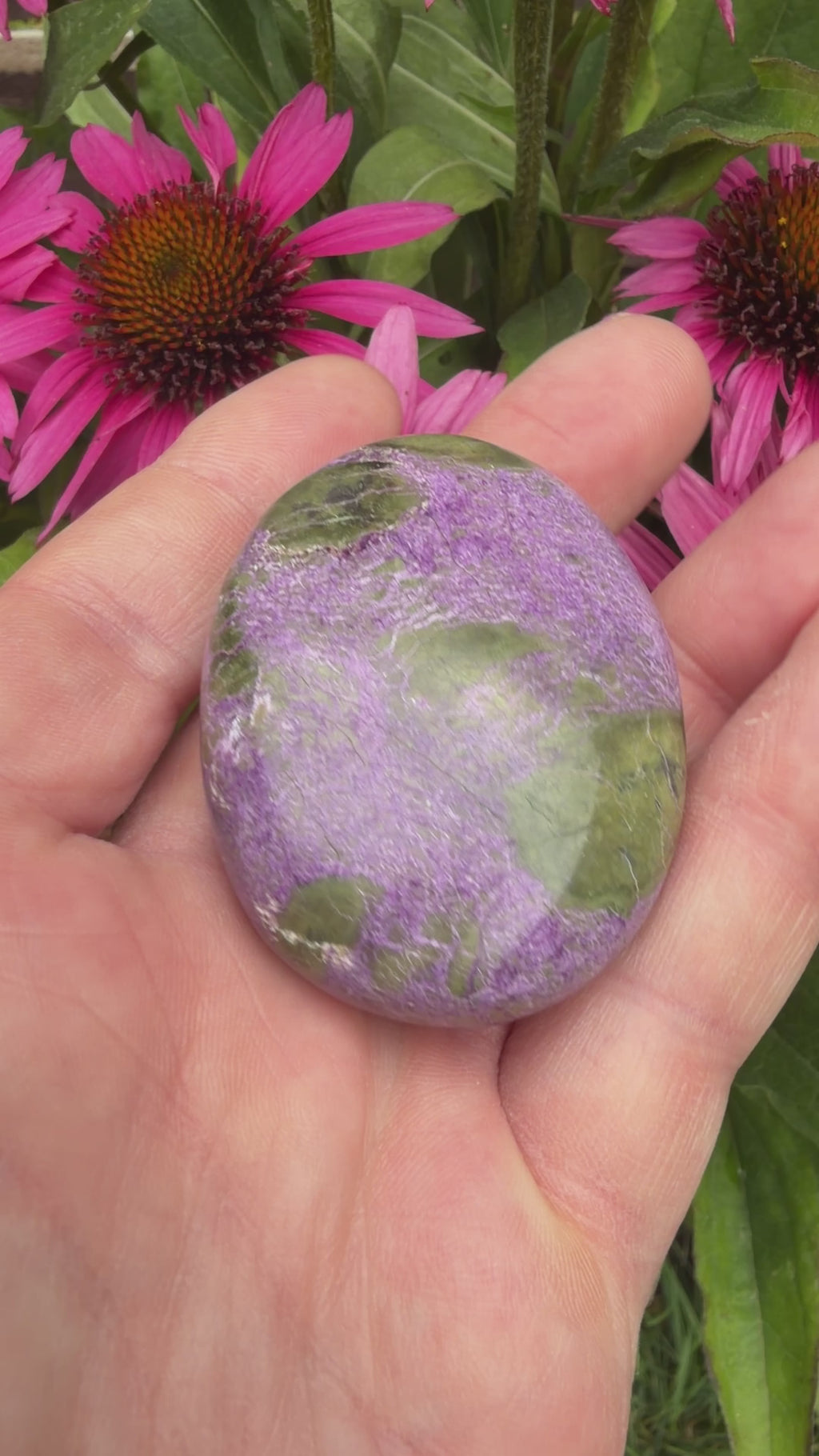 Atlantisite Stichtite Palmstone 60 grams AP10