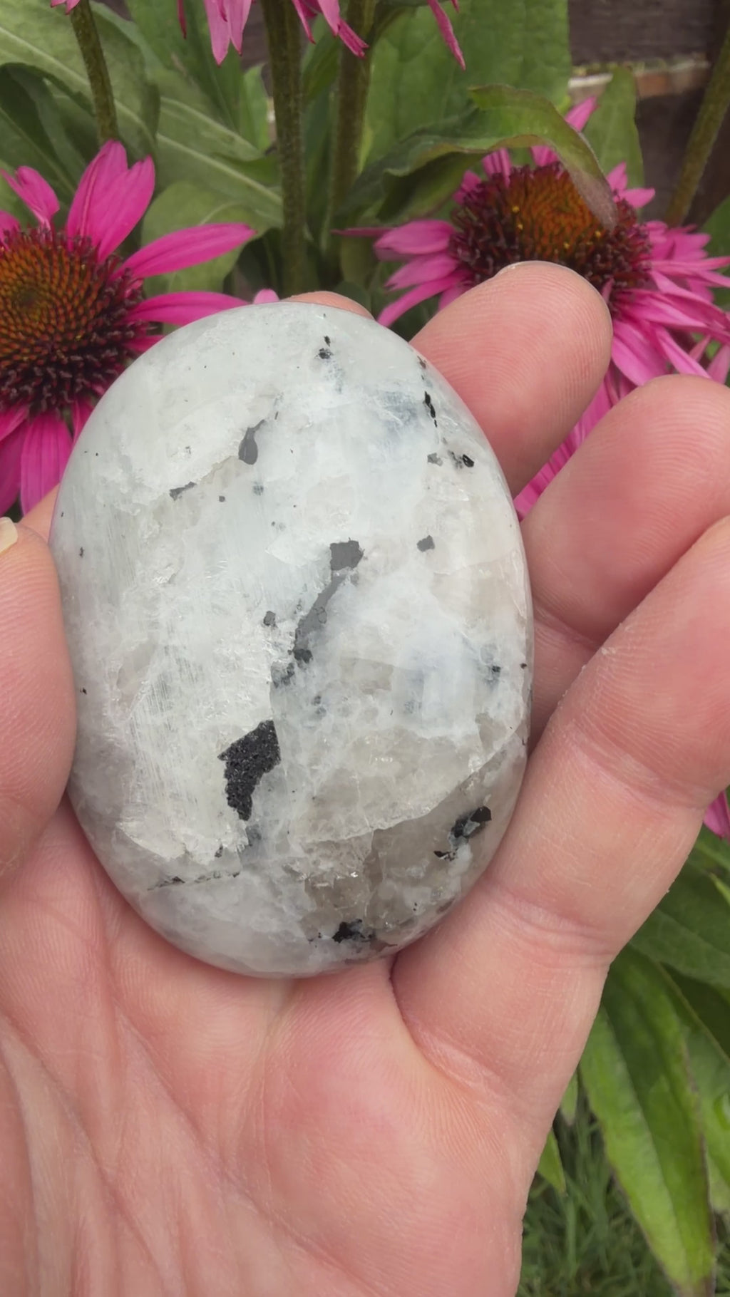 Rainbow Moonstone Palmstone 115 grams RMP02