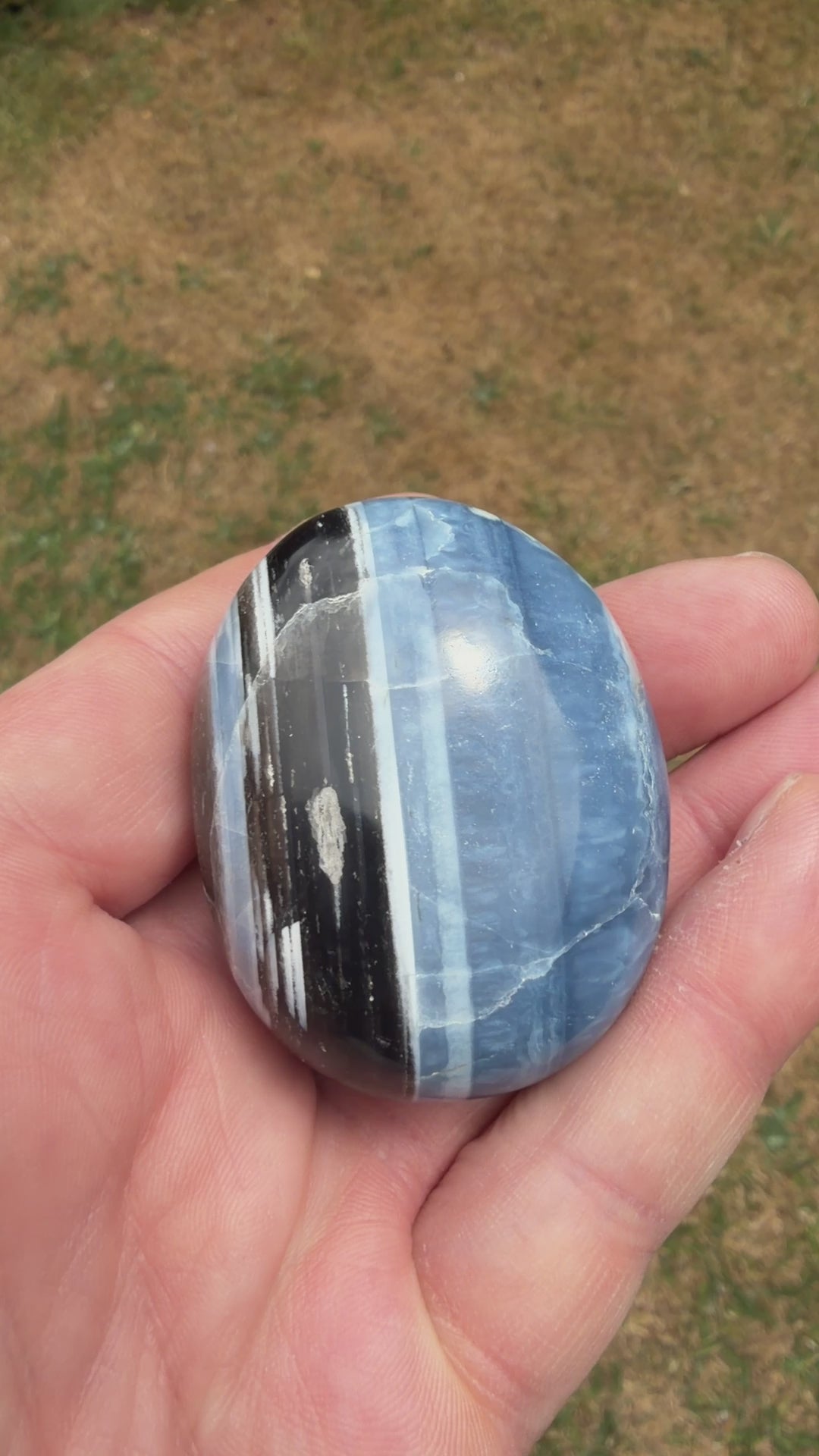 Owyhee Blue Opal Palmstone 67 grams BOP10