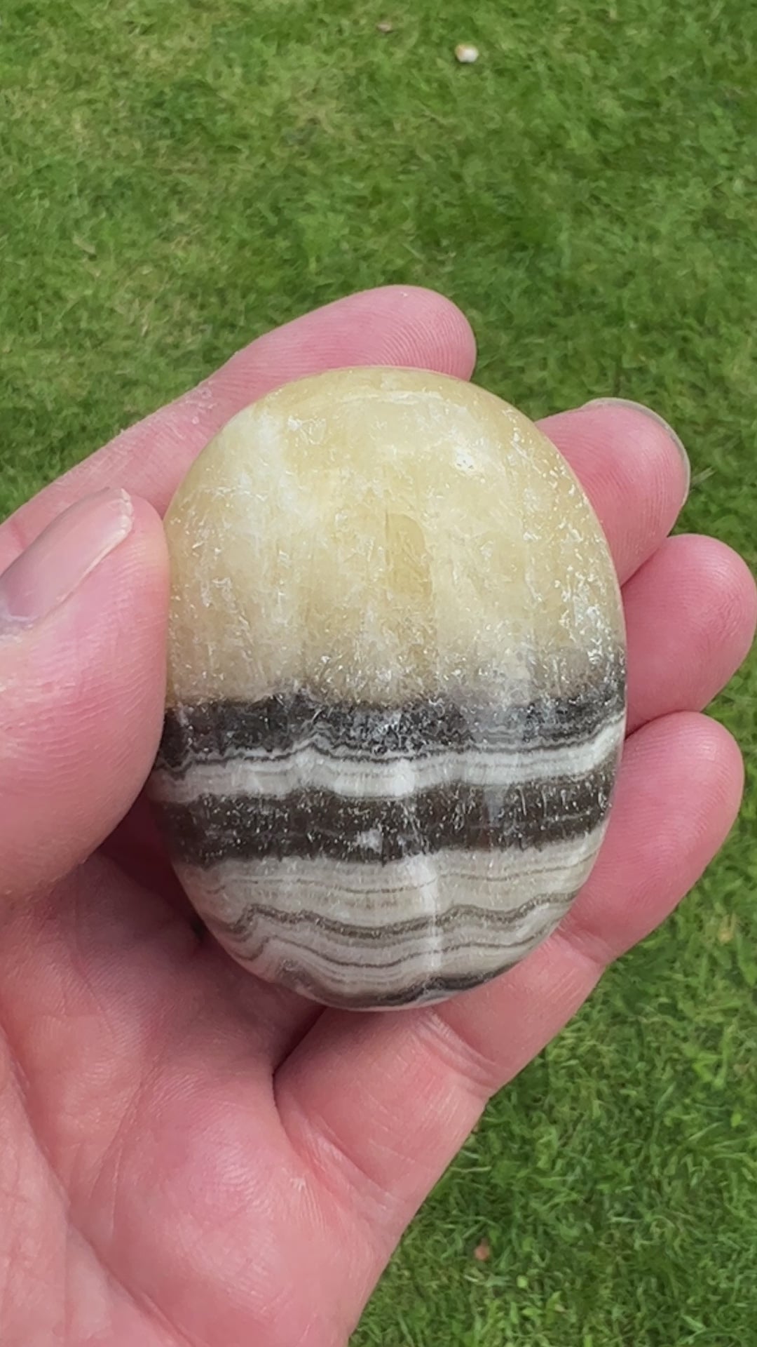 Zebra Calcite Palmstone 87 grams ZCP01
