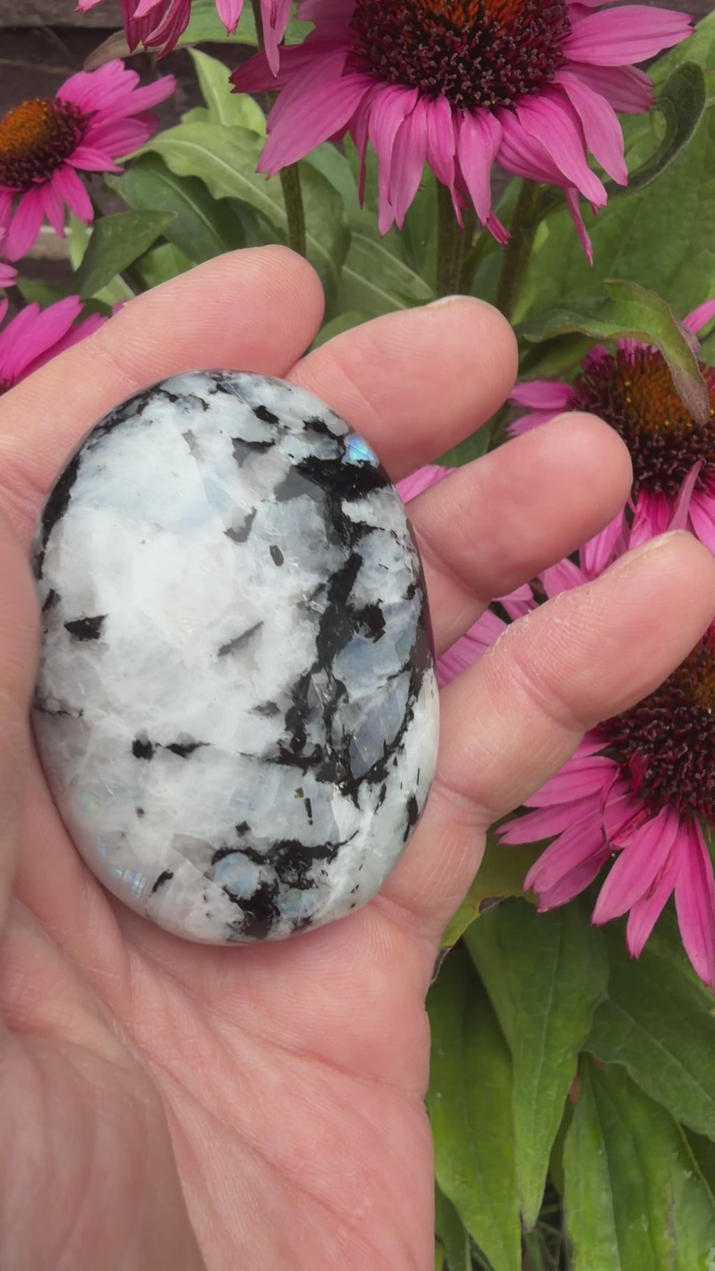 Rainbow Moonstone Palmstone 101 grams RMP10