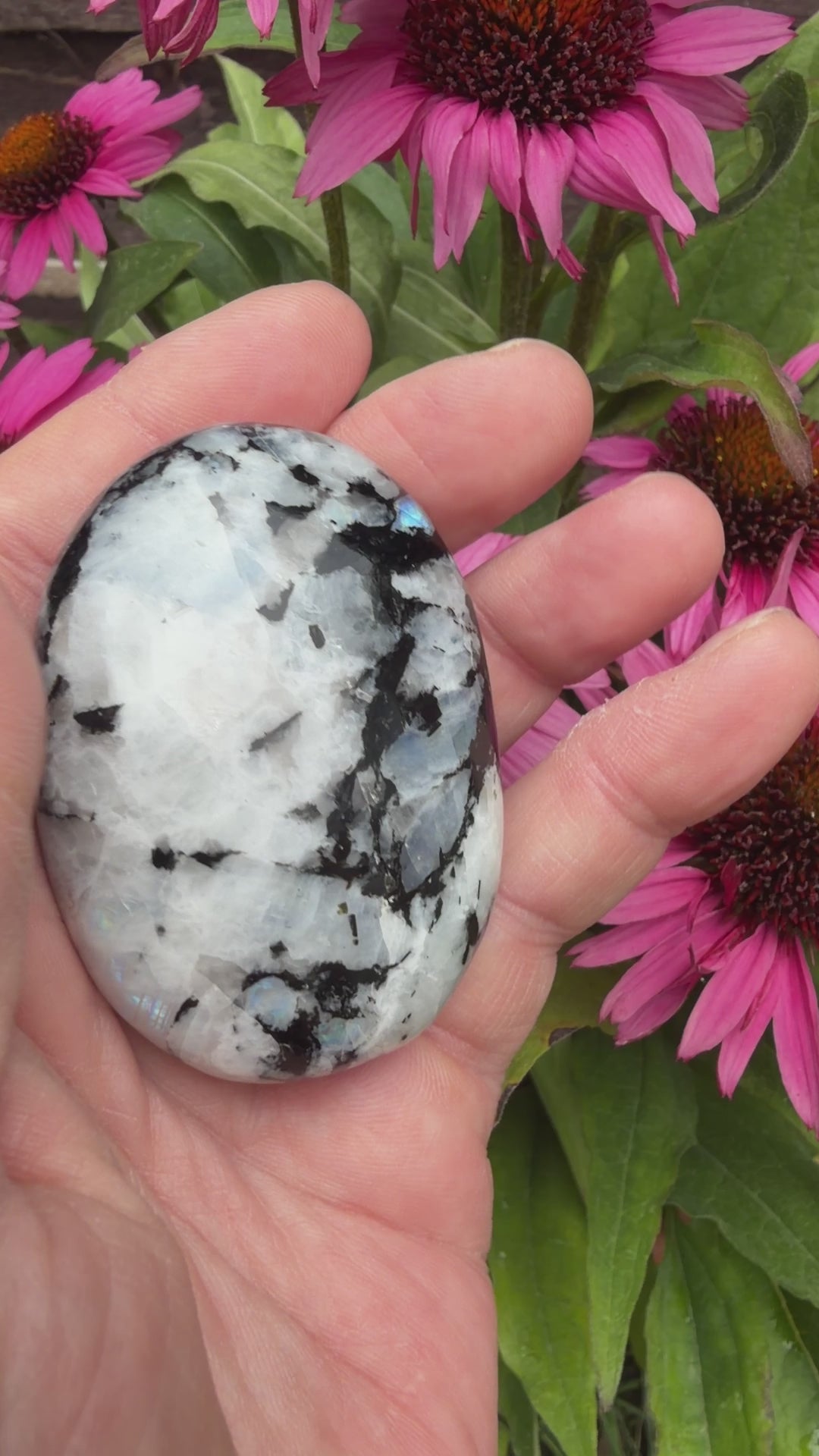 Rainbow Moonstone Palmstone 101 grams RMP10