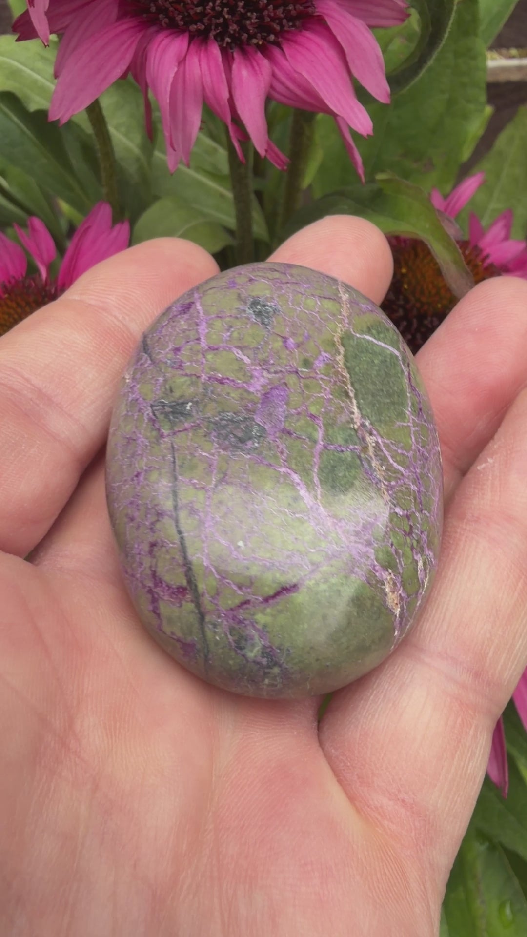 Atlantisite Stichtite Palmstone 78 grams AP12