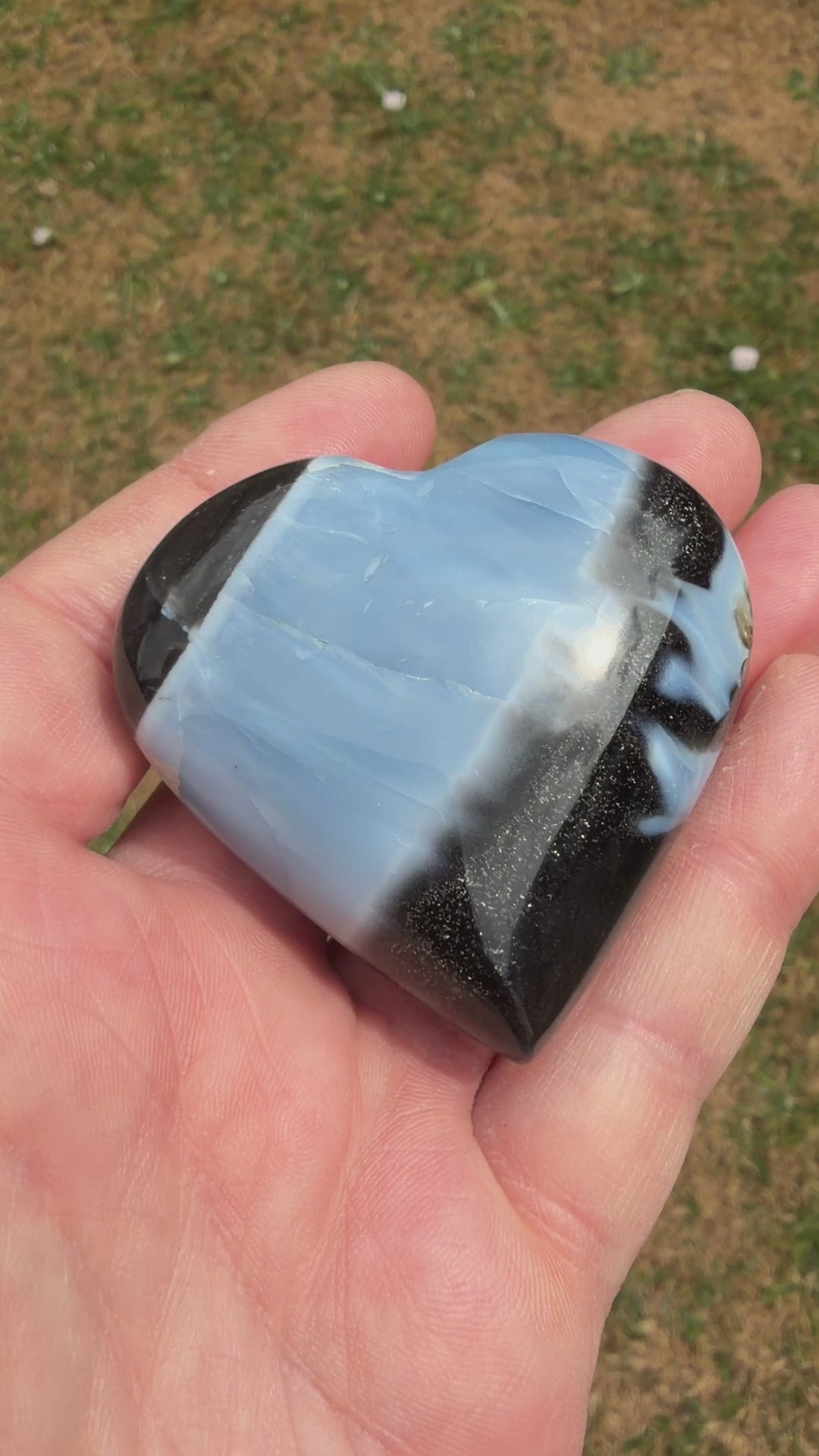 Owyhee Blue Opal Heart Crystal 82 grams BOH02