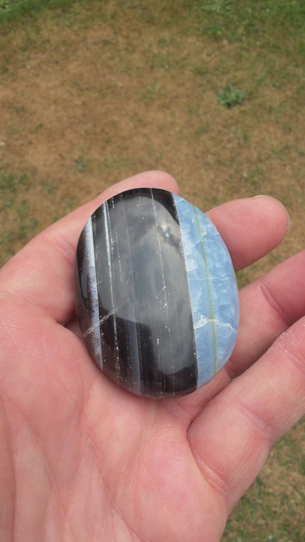 Owyhee Blue Opal Palmstone 68 grams BOP11
