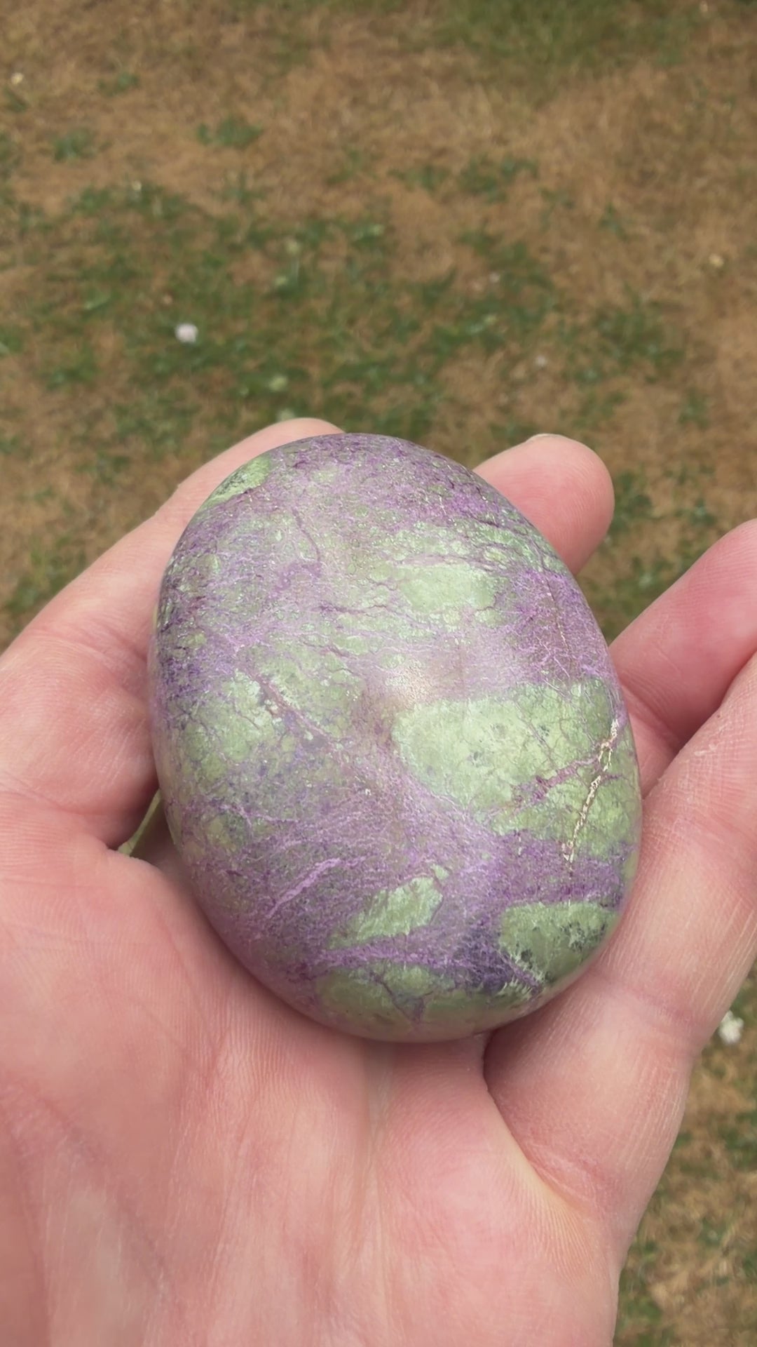 Atlantisite Stichtite Palmstone 108 grams AP01