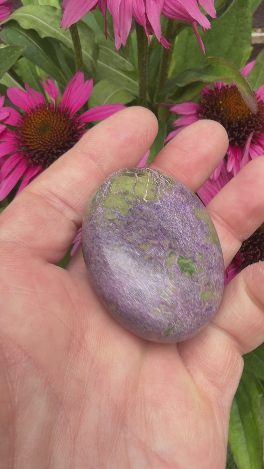 Atlantisite Stichtite Palmstone 62 grams AP11