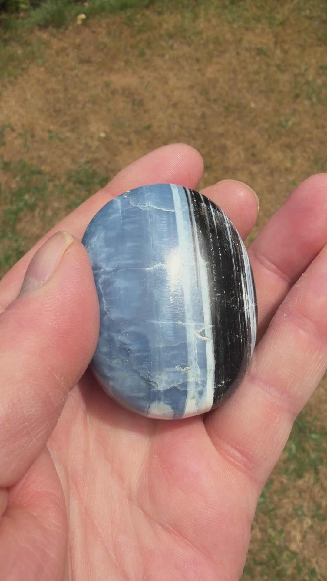 Owyhee Blue Opal Palmstone 74 grams BOP09