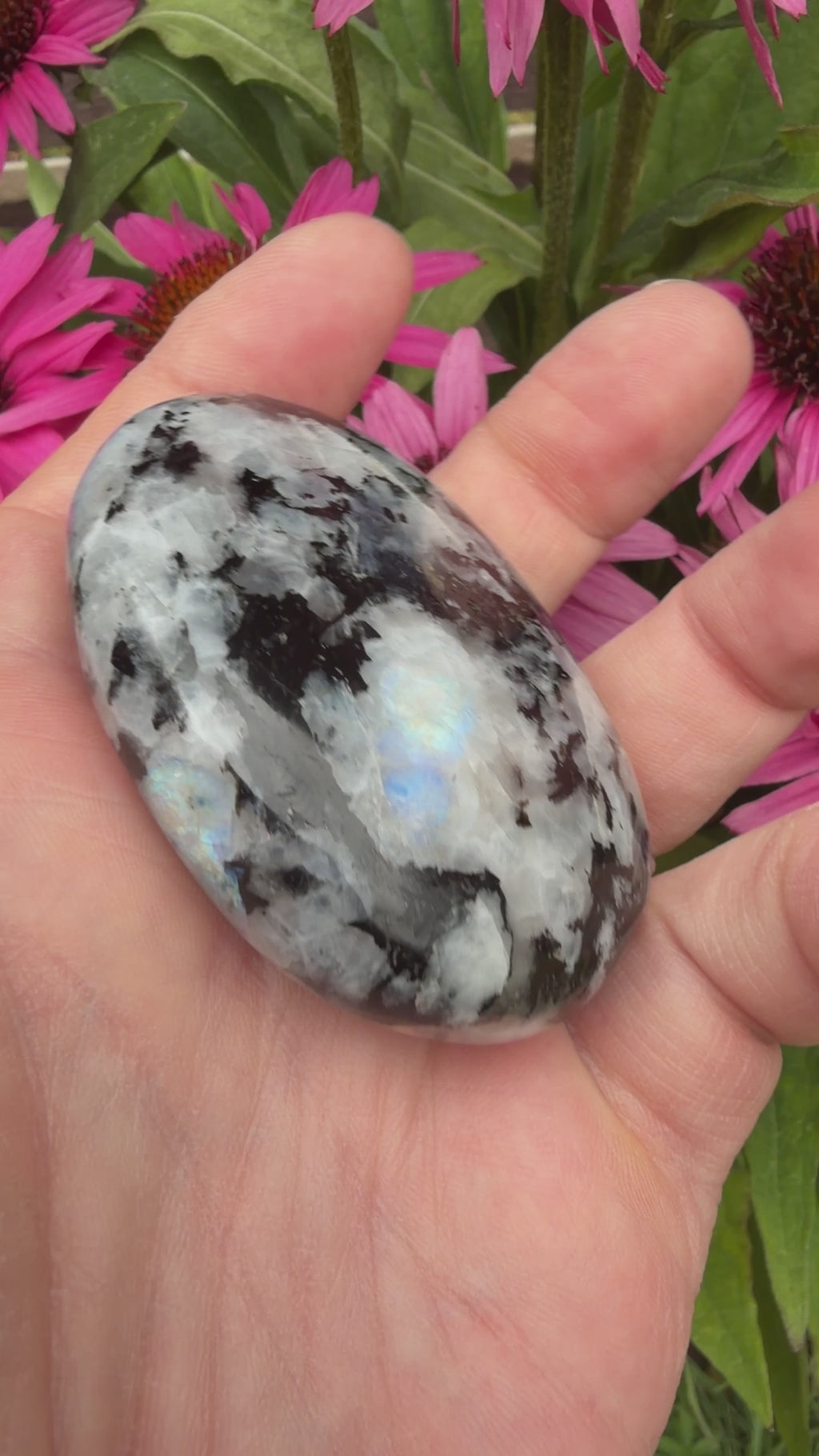 Rainbow Moonstone Palmstone 106 grams RMP08