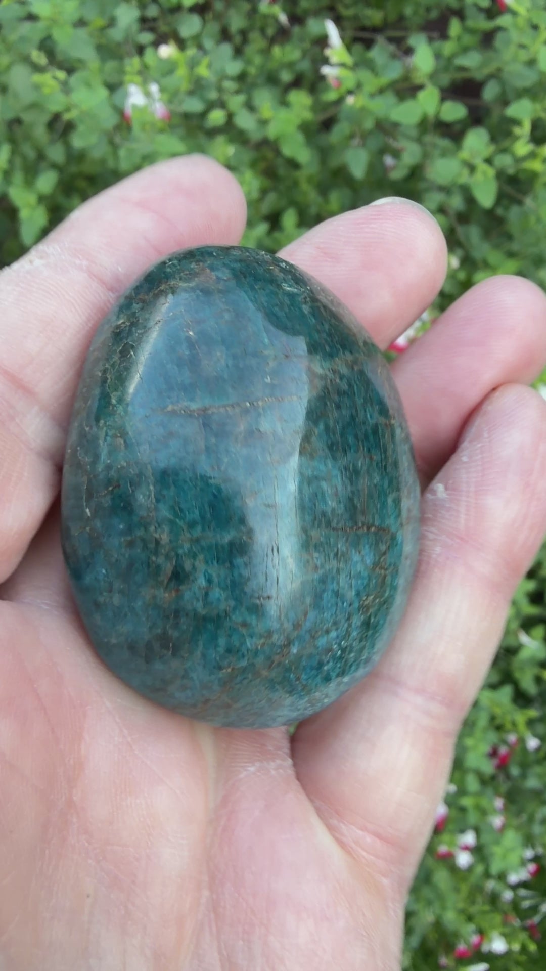 Blue Apatite Palmstone 98 grams NBAP06