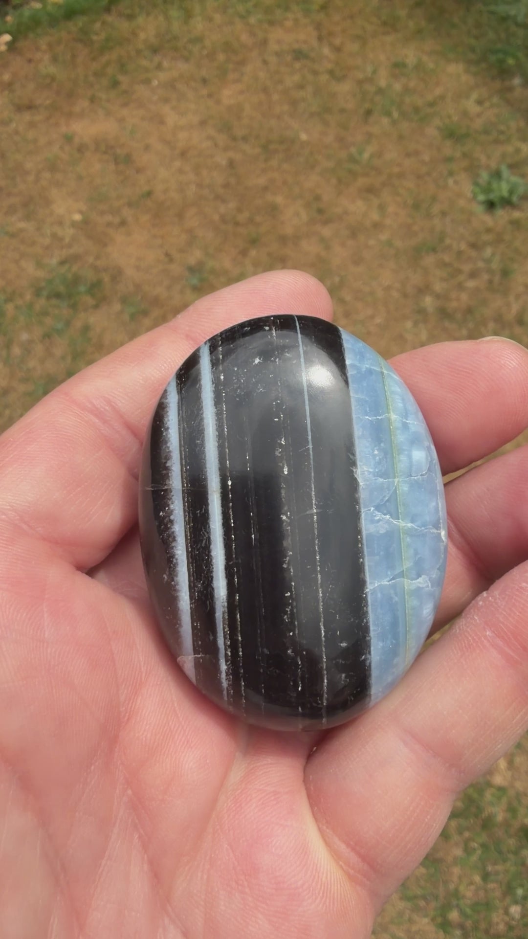 Owyhee Blue Opal Palmstone 73 grams BOP12