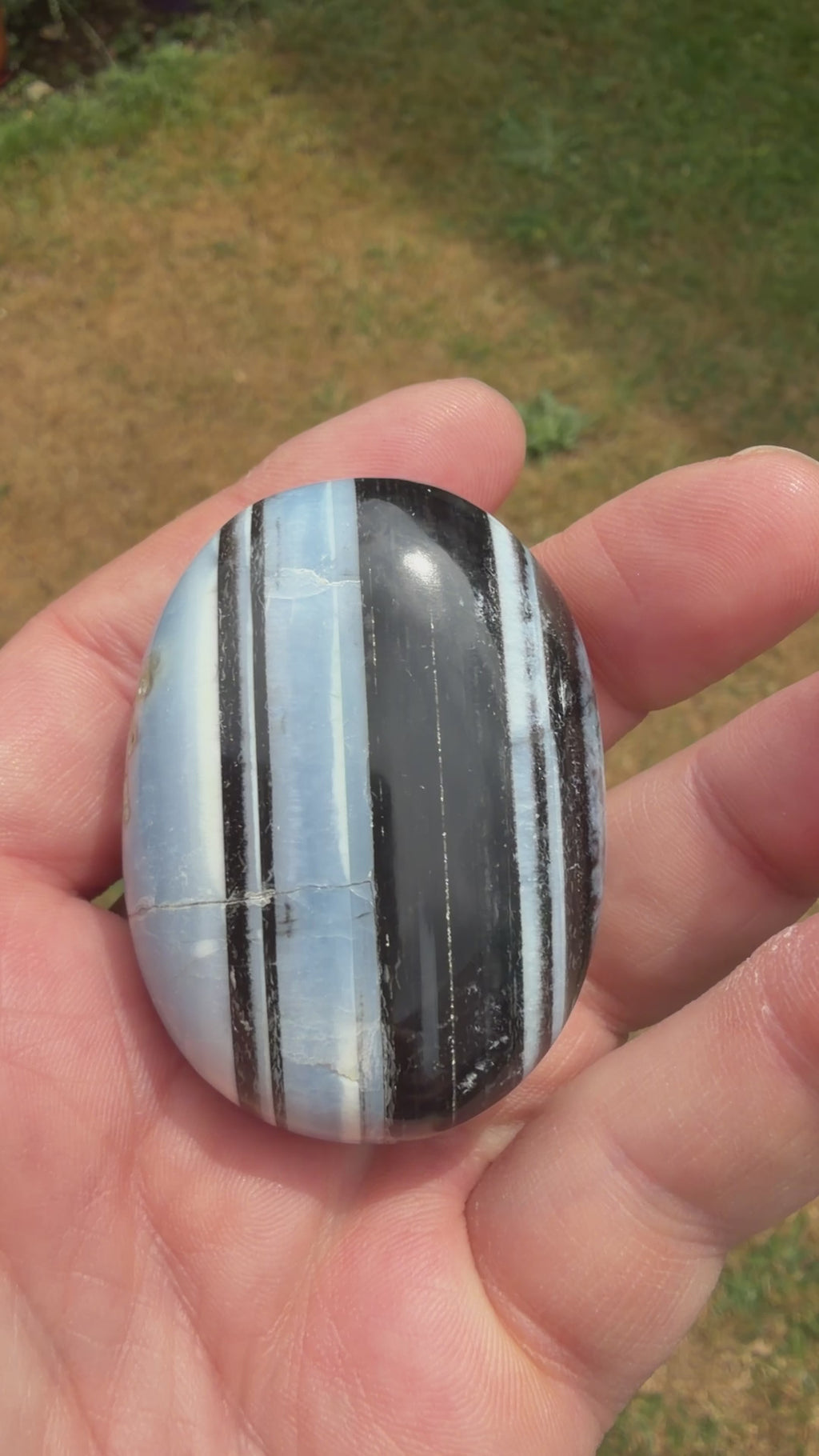 Owyhee Blue Opal Palmstone 74 grams BOP13