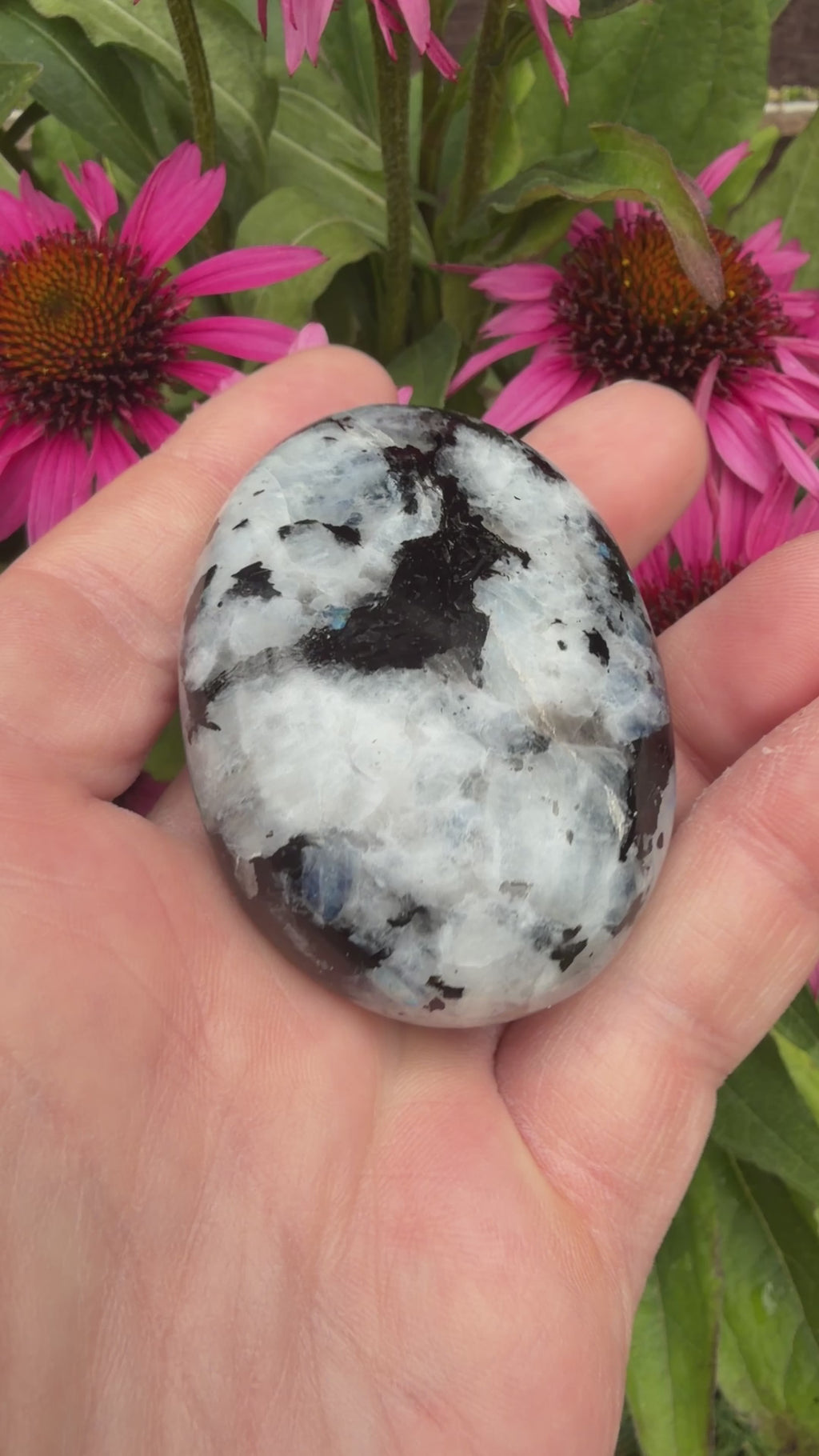 Rainbow Moonstone Palmstone 94 grams RMP06