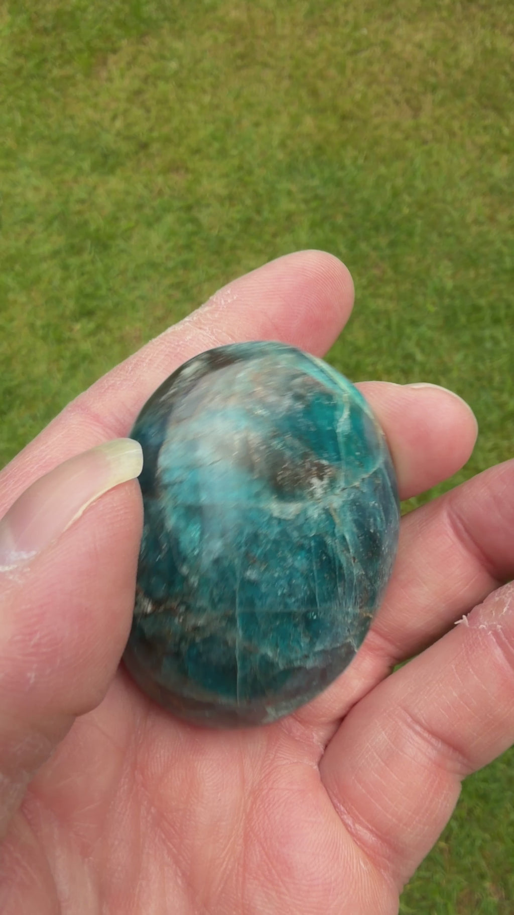 Blue Apatite Palmstone 90 grams NBAP08