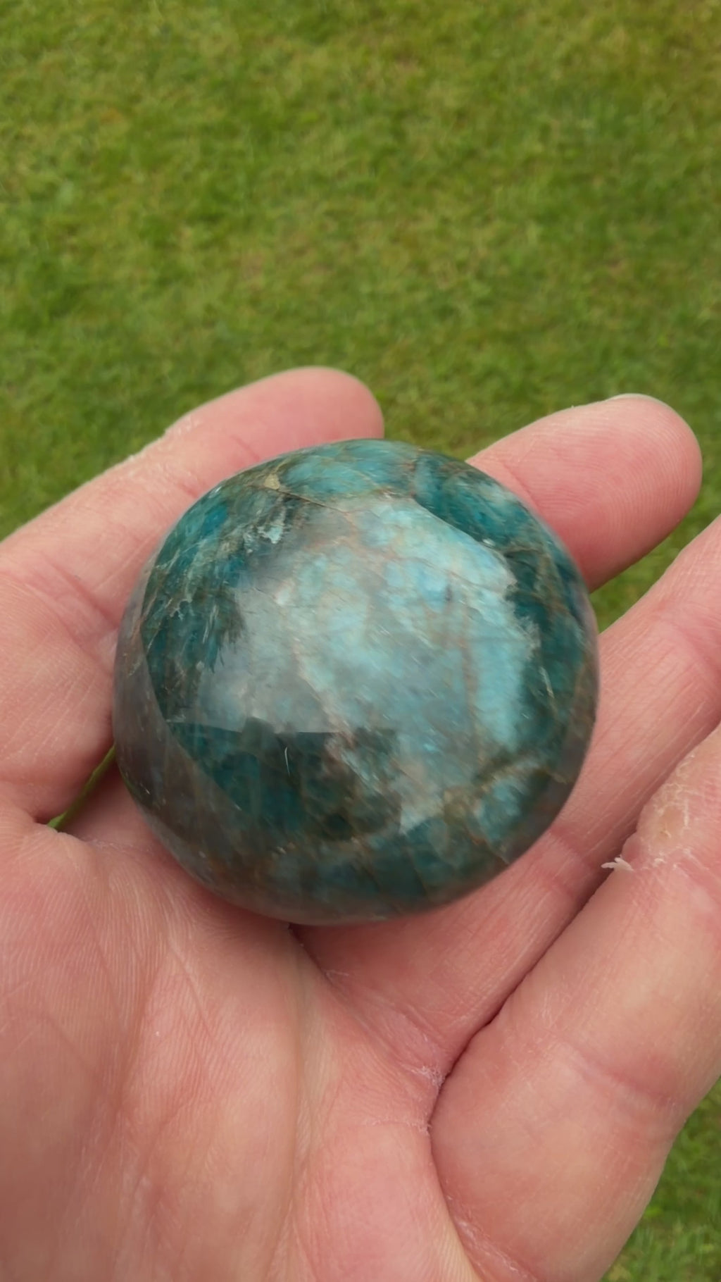Blue Apatite Palmstone 83 grams NBAP13