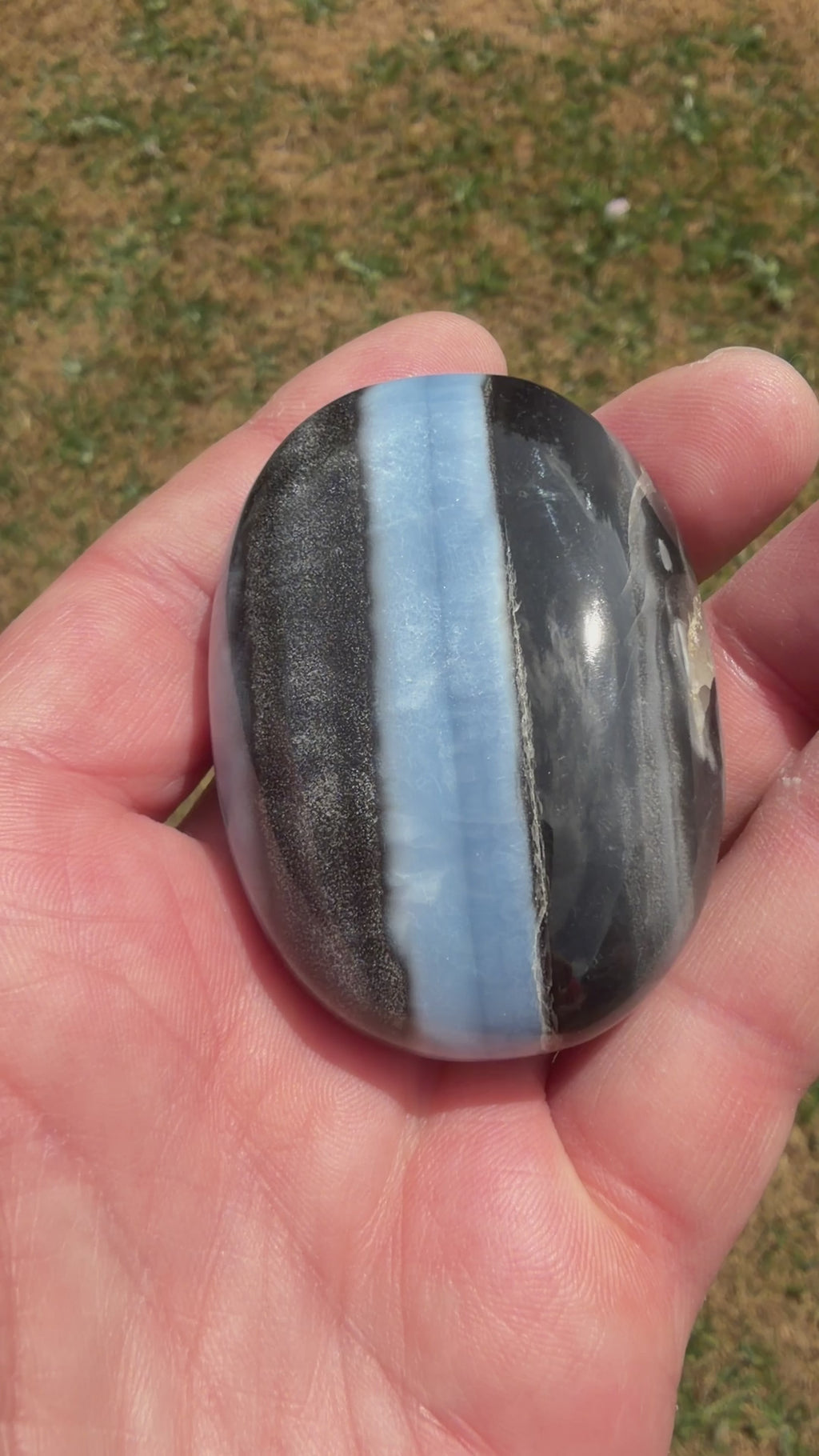 Owyhee Blue Opal Palmstone 83 grams BOP03
