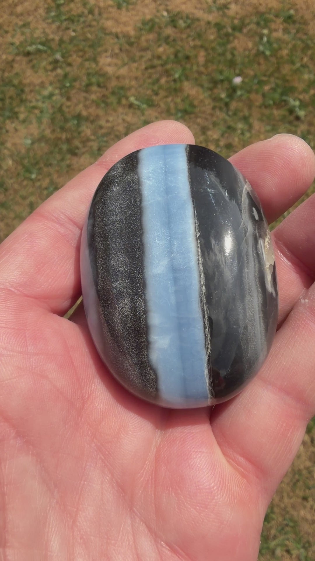 Owyhee Blue Opal Palmstone 83 grams BOP03