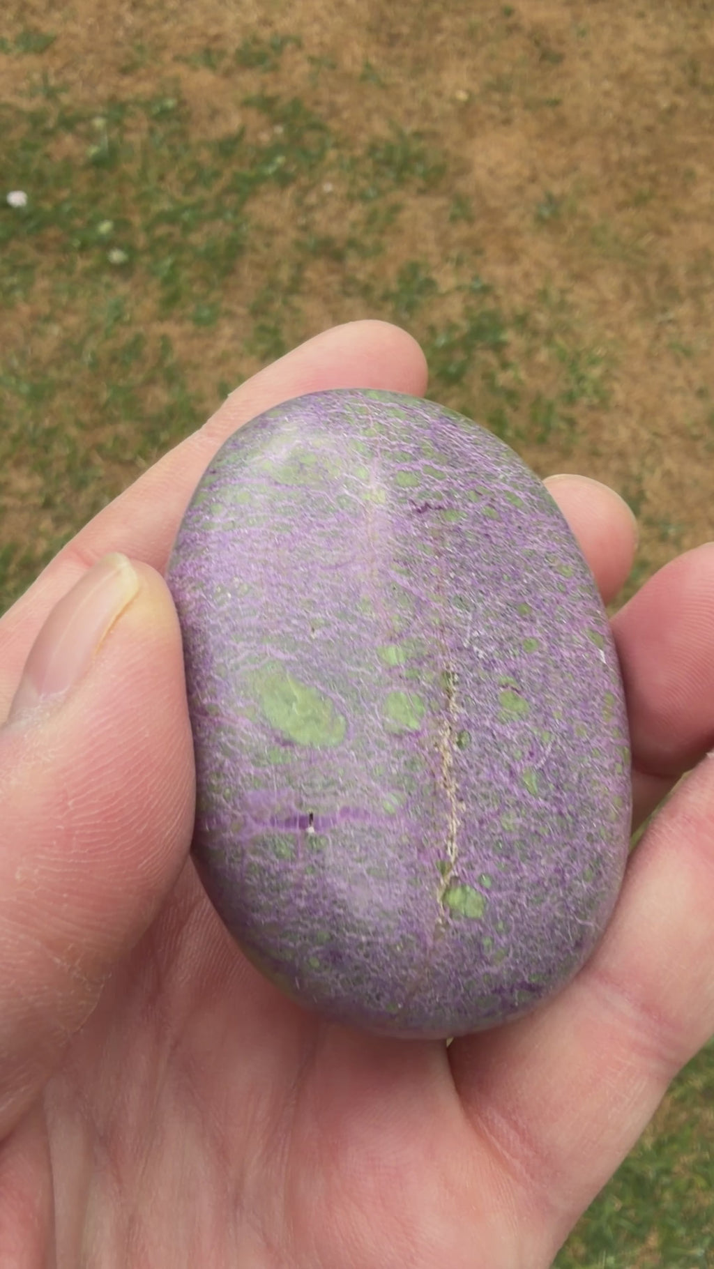 Atlantisite Stichtite Palmstone 103 grams AP06