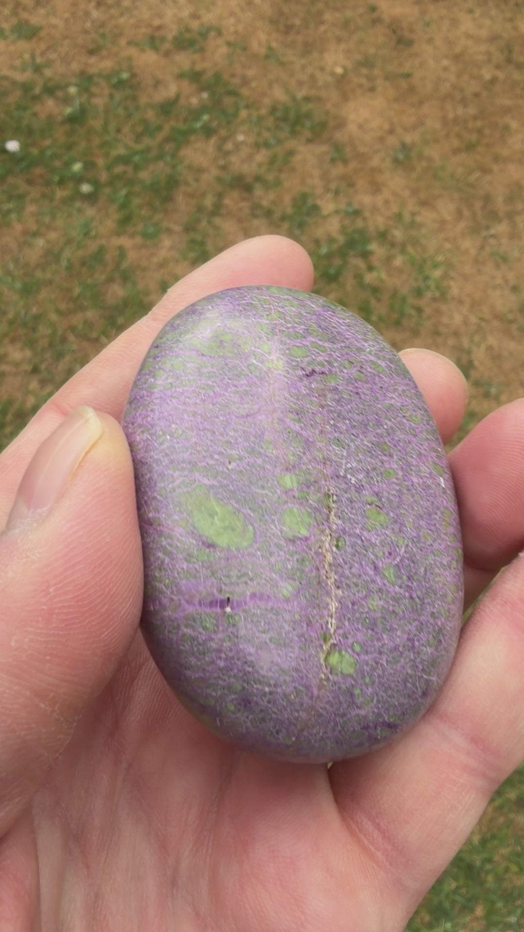Atlantisite Stichtite Palmstone 103 grams AP06
