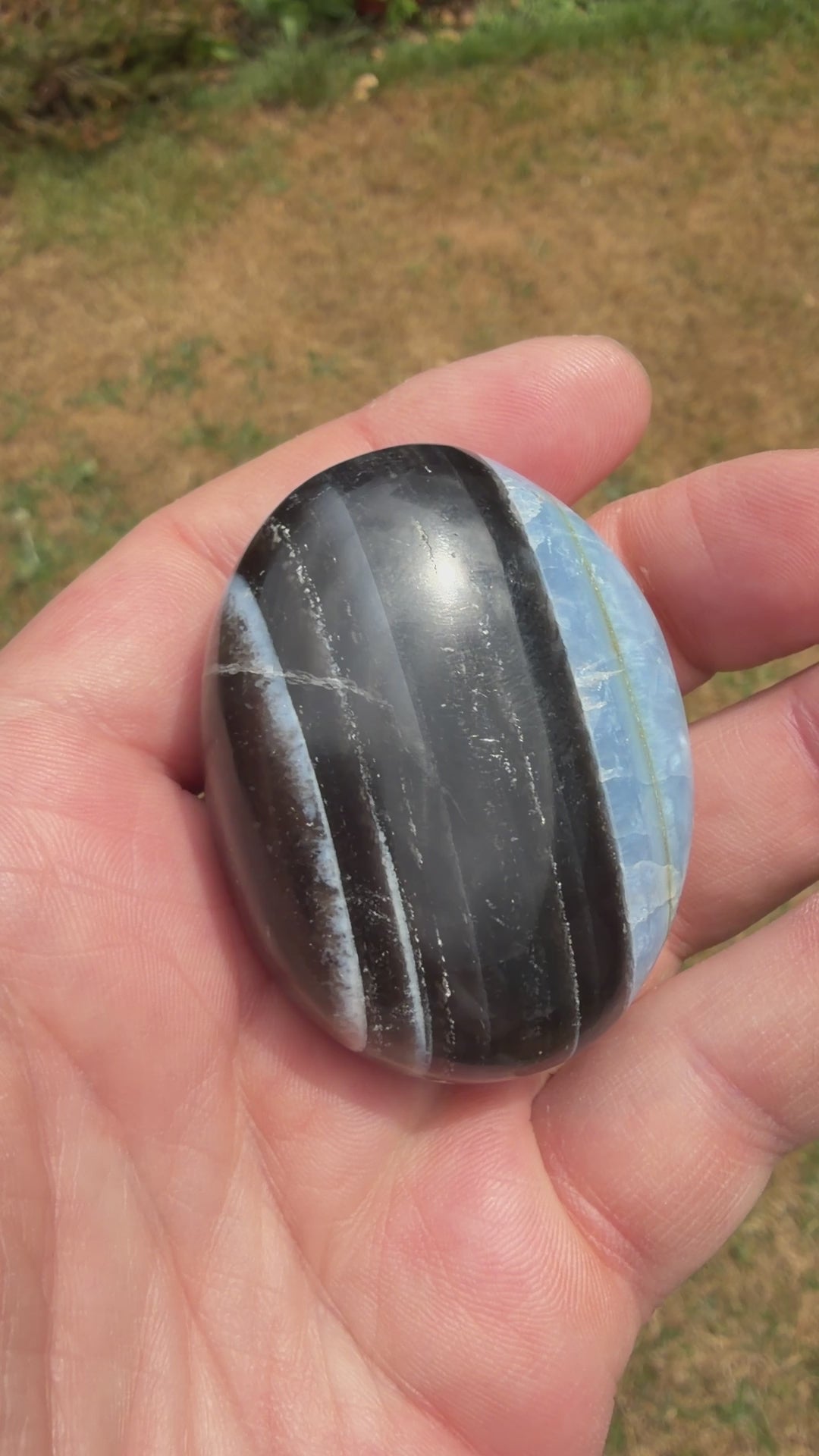 Owyhee Blue Opal Palmstone 75 grams BOP08