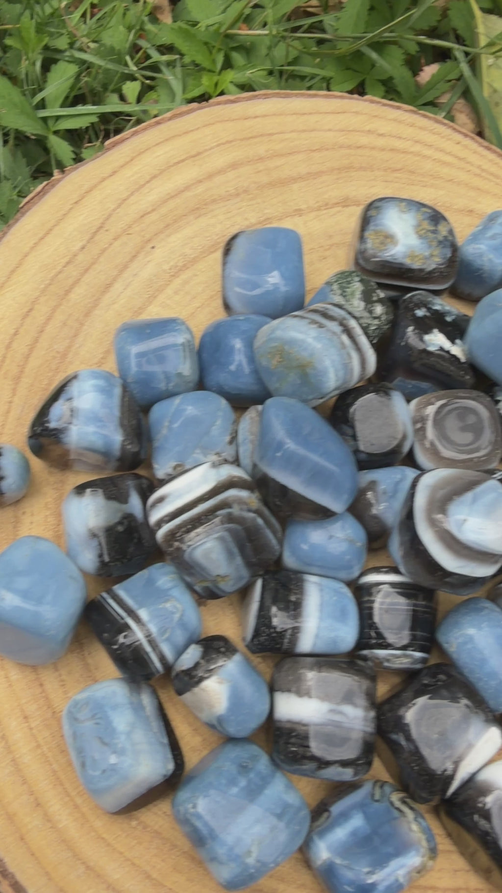 Owyhee Blue Opal Tumblestone 2-3 cm