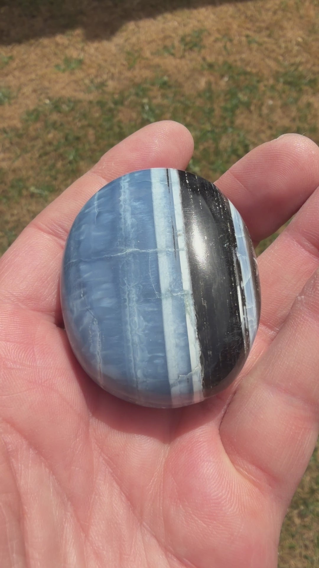 Owyhee Blue Opal Palmstone 74 grams BOP05