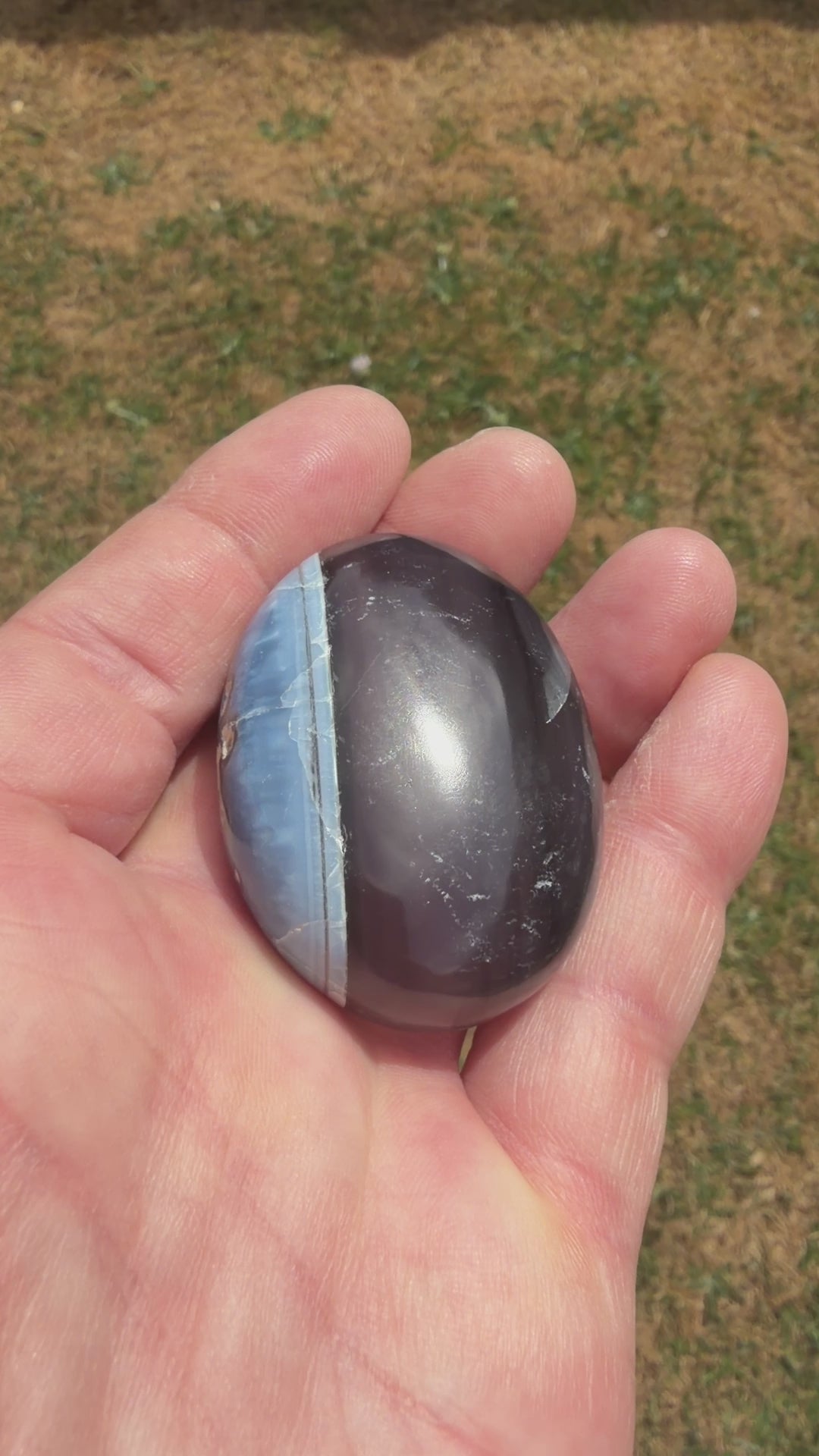 Owyhee Blue Opal Palmstone 57 grams BOP07