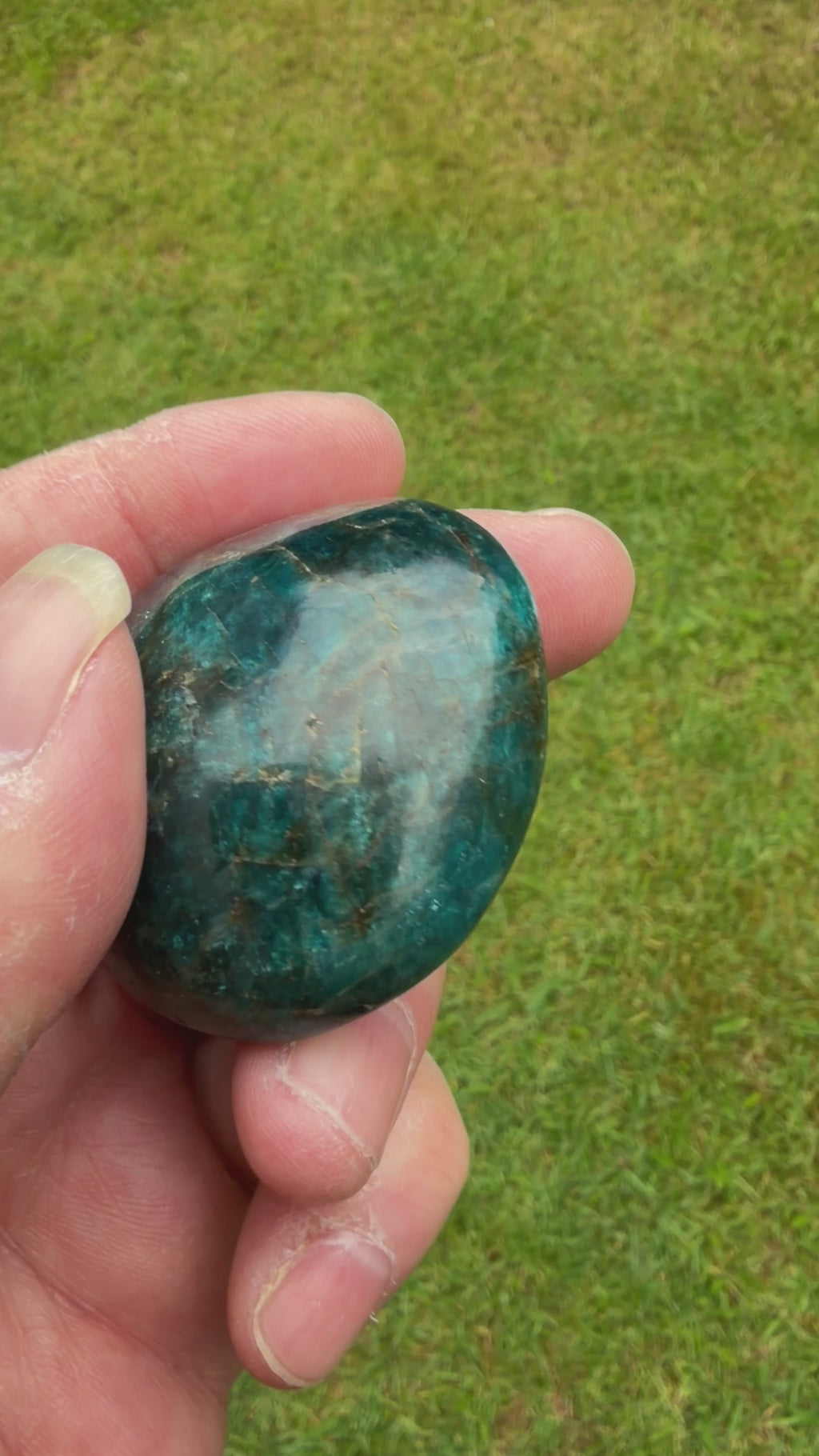 Blue Apatite Palmstone 83 grams NBAP09