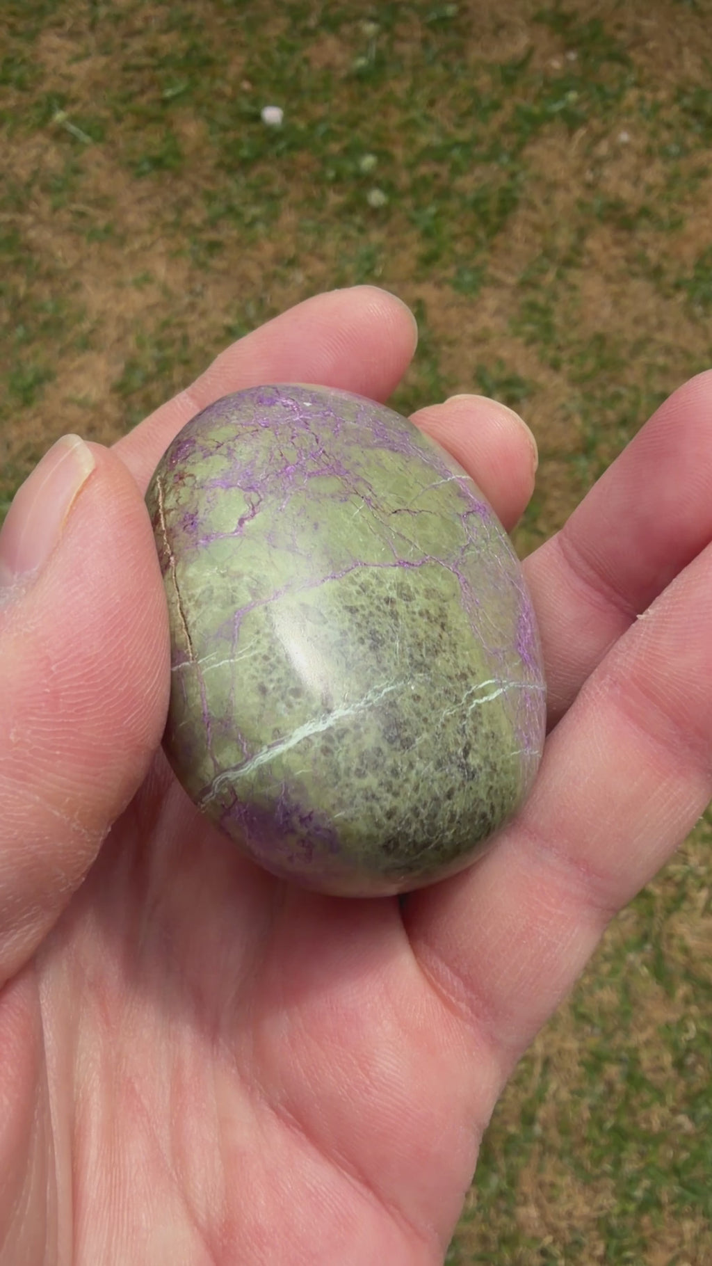 Atlantisite Stichtite Palmstone 87 grams AP08